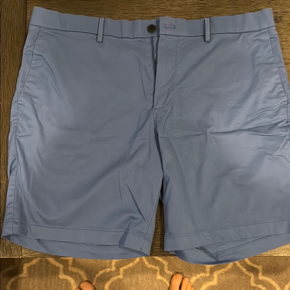 Banana Republic Light Blue Flat Front Shorts
